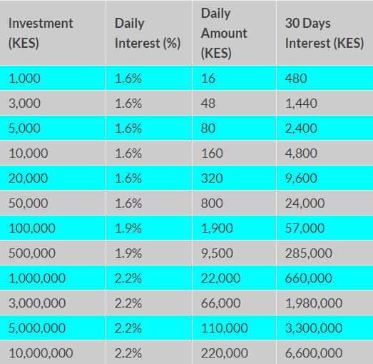 American quid investment table
