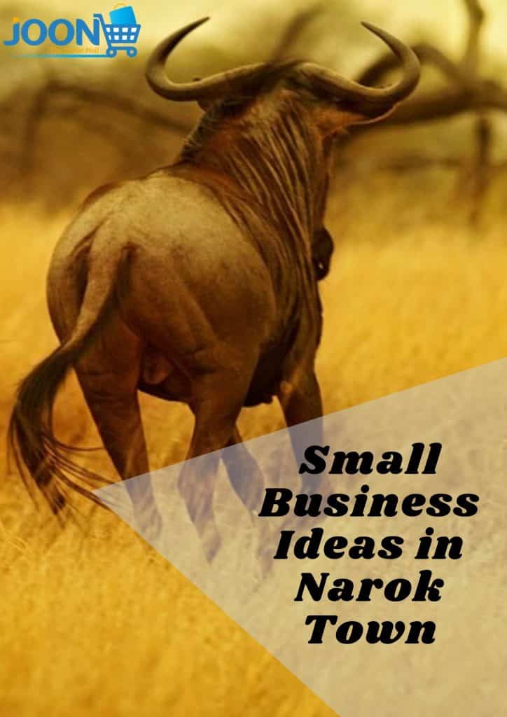 Small Business Ideas in Narok Town