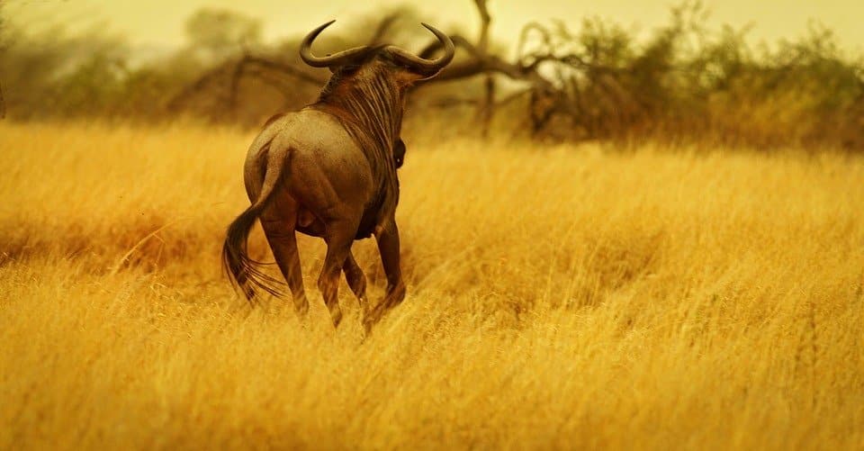 Small business ideas in Narok town, Kenya