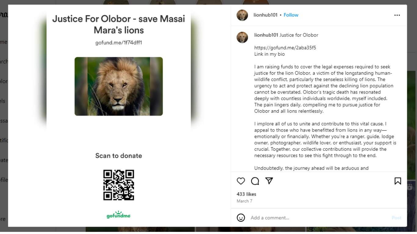 Campaign to boycott Kenyan tourism as tourists sue Government over lions killings
