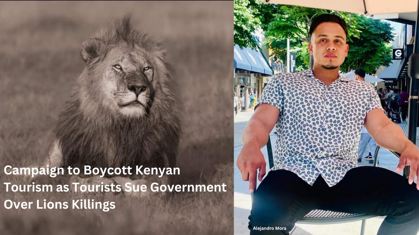 Campaign to boycott Kenyan tourism as tourists sue Government over lions killings