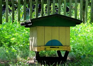 Honey Production Business in Kenya