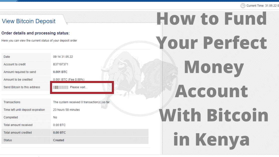 How to Fund Your Perfect Money Account With BTC in Kenya (1)