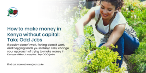 If poultry doesn't work, fishing doesn't work, and begging lands you in Kanjo cells; change your approach of trying to make money in Kenya without capital.