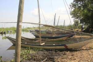 Abandoned boats at the beach