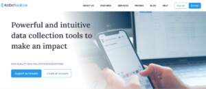 Make money with KoboCollect