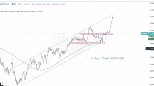 Double Bottom Pattern on AUD / USD and Resistance Ahead.