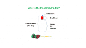 What is the Pinocchio Pin Bar