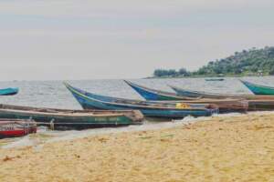 20 Great Business Ideas for Entrepreneurs in Migori