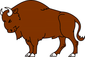 Bull trap pattern in Olymp Trade