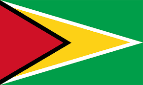 Guyana flag