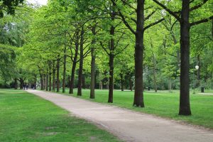 How to Start a Landscaping and Lawn Care Business.
