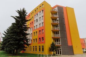 Small Businesses For University Students